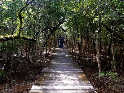 Paket Karimunjawa Diskon Juli Trip Darat Trekking Mangrove